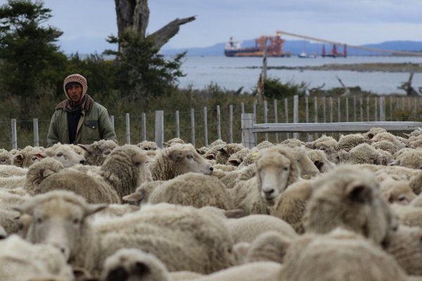 <p>SEA se suma a Mina Invierno e ingresa recurso para ir al máximo tribunal</p>