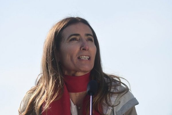 Schmidt y críticas a la COP: "El sector privado está participando con fuerza y de manera transversal"