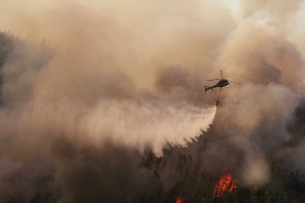 Empresa de helicópteros de Eduardo Ergas combate incendios en el Amazonas de Bolivia
