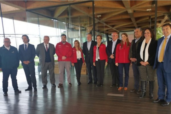 <p>Wom, Movistar, Entel y Claro invertirán $ 13 mil millones en conectividad digital en la Araucanía</p>