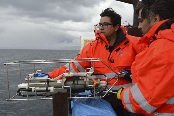 Pescadores piden mayores atribuciones para los comités científicos que "hoy no tienen poder de decisión real"