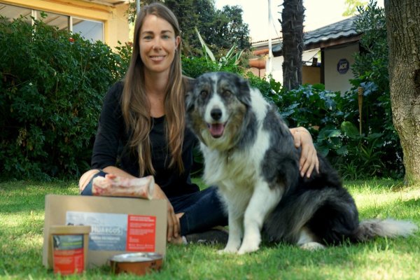 Huargos, la startup que alimenta a las mascotas por suscripción