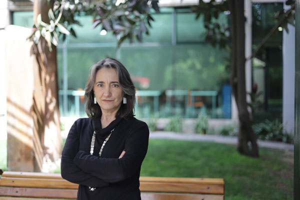 Artículo que crea mecanismos para los mercados de carbono se podría aprobar en COP25