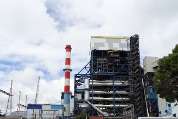 FMI propone aumentar impuestos verdes al equivalente a 15 veces lo que son en Chile para mitigar cambio climático