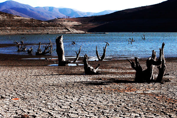 Experta en medio ambiente: “La emergencia se enfrenta reformando el Código de Aguas”