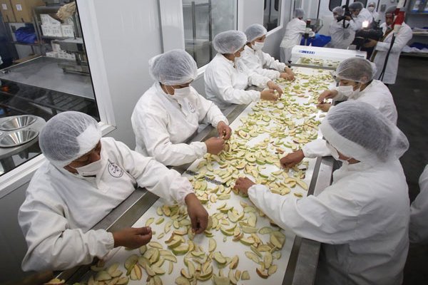 No solamente Luksic: la plataforma que en un día ya tiene 170 empresas comprometidas para emparejar los sueldos