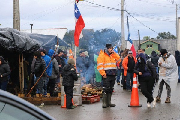 Industria salmonera en alerta: seis plantas paralizadas en Quellón