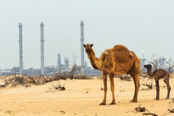 Aramco da a conocer los 25 bancos de inversión que harán la mayor apertura en bolsa de la historia