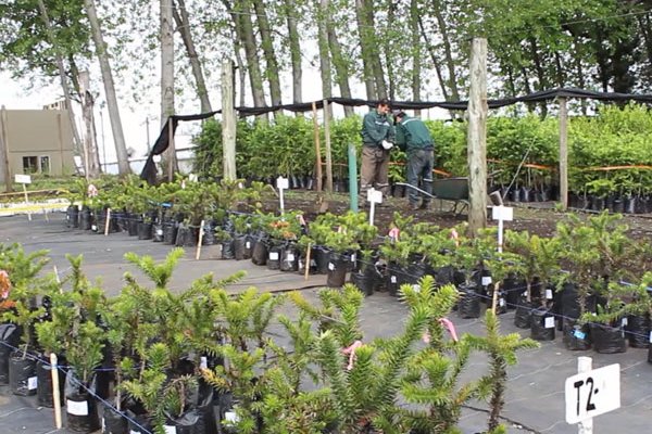 Chile recibirá US$ 63 millones para mitigar cambio climático
