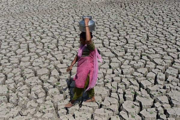 Organización Meteorológica Mundial: 2019 cierra una década de calentamiento global sin precedentes