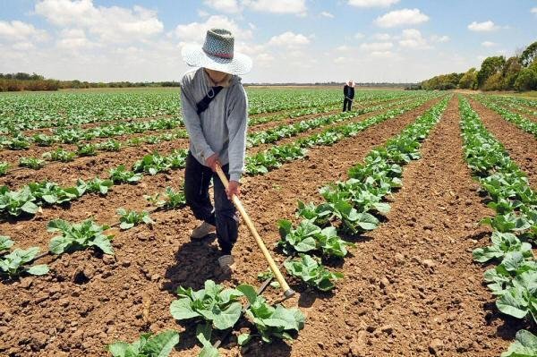 Plan de adaptación hídrica estaría listo en 2021