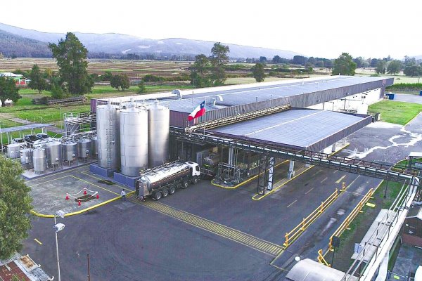 Fiscalía aprobó la fusión entre Quillayes y Surlat: nueva compañía parte en enero