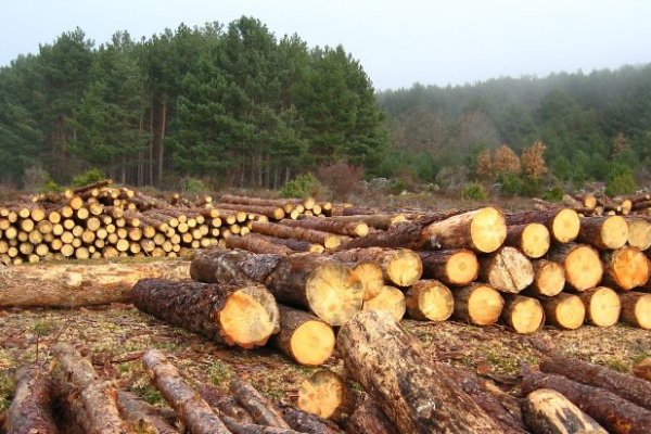 WWF: Estados Unidos y la Unión Europea deben asumir mayores costos por desastres climáticos en países en desarrollo