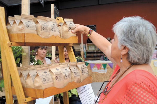 Radiografía al consumo en la crisis: los productos y canales por los que optaron los chilenos