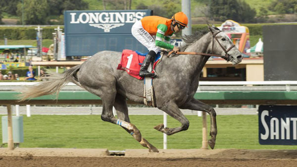 Haras Don Alberto y su ambición de dominar la hípica internacional