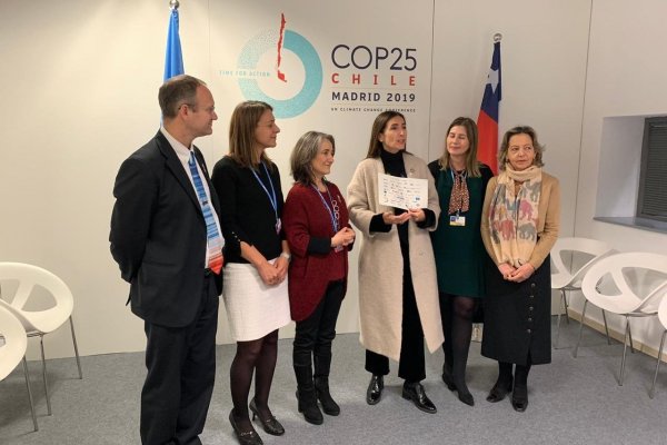COP25: Sector privado respalda metas climáticas del gobierno y llama a lograr acuerdos sobre mercados de carbono