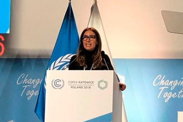 Ministra Schmidt sobre falta de consenso en artículo clave del acuerdo climático: “Las diferencias de las partes son profundas”