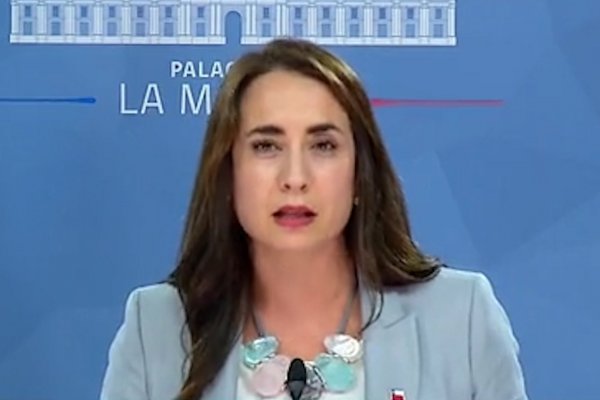 <p>Ahora en DF: Gobierno lamenta “profundamente” denuncias recibidas por el equipo de Bachelet en su informe de DDHH de la ONU</p>
