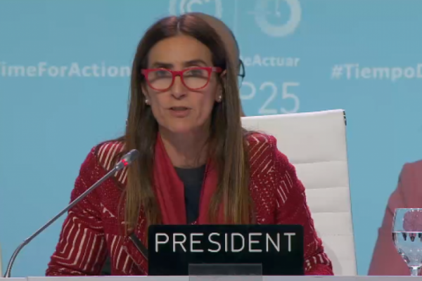 <p>Tras maratónica jornada, ministra Schmidt anuncia que negociaciones para texto final de cumbre del clima se extenderán hasta este domingo</p>