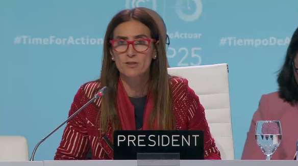 COP 25 cerró con decepcionante resultado: desacuerdos impidieron lanzar mercado de emisiones de co2