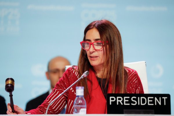 Diputados invitan a ministra Schmidt por resultado de COP 25 y diputado ecologista reúne firmas para interpelación