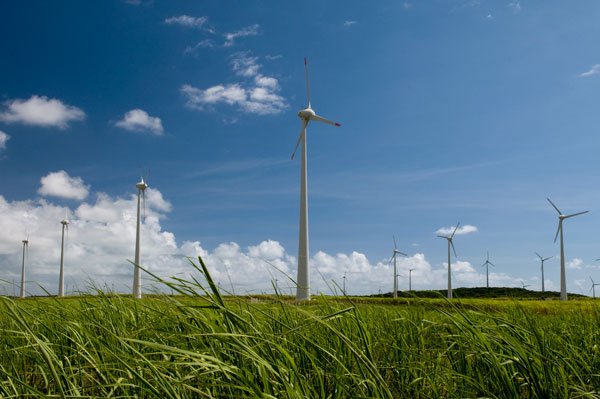 Generación eléctrica sigue desacelerándose: crece 0,3% a noviembre