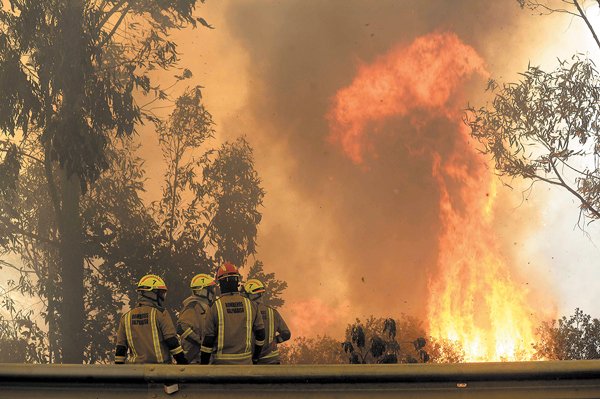 Incendios forestales en Chile: Onemi reporta 21 siniestros a nivel nacional