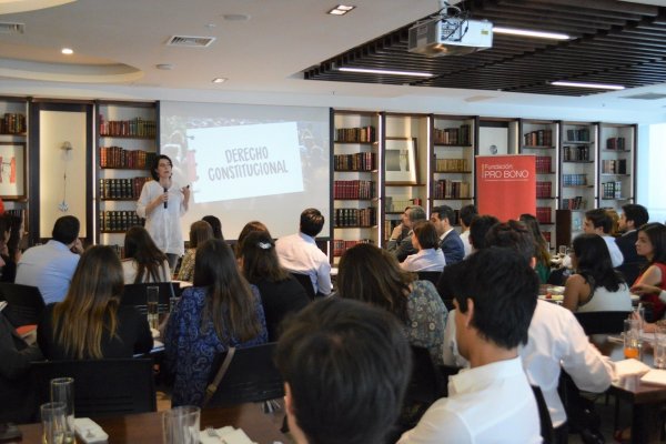 Abogados y abogadas de Fundación Pro Bono encabezarán programa de educación legal sobre proceso constituyente