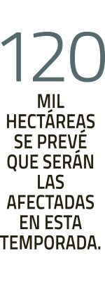 Imagen foto_00000004