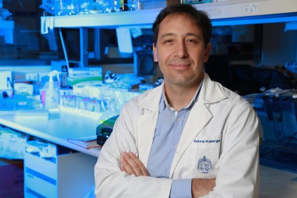 Vacuna chilena contra virus respiratorio inició pruebas en Estados Unidos con producción de 20 mil dosis