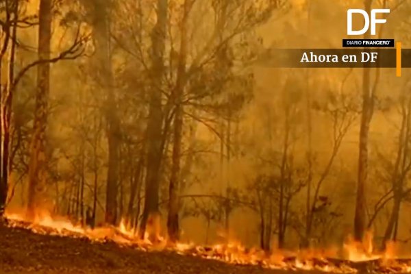 <p>Ahora en DF: Más de 6 millones de hectáreas se han quemado en Australia</p>