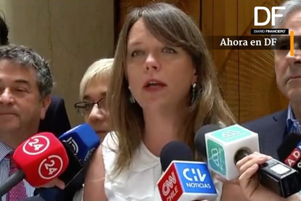 <p>Ahora en DF: UDI también decide votar en rechazo a cambio constitucional en el plebiscito de abril</p>