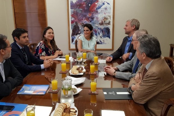 Pensiones: DC pide al gobierno que proyecto de cooperativas que competirán con las AFP se tramite aparte de la reforma