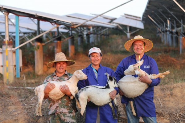 Bloomberg: Los alimentos chinos determinarán la propagación de las pandemias