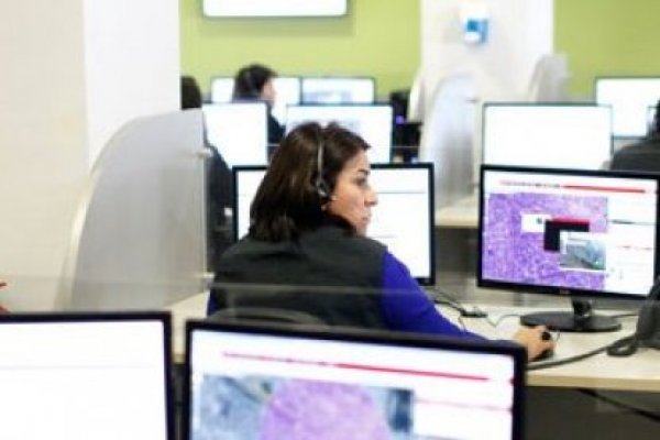<p>Chile lidera investigación junto a la OCDE para disminuir brecha digital de género</p>