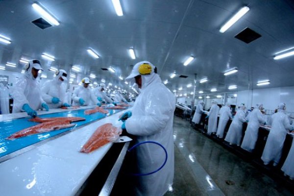 <p>Nova Austral y salmonera de la familia Hurtado cierran alianza para producir en Magallanes</p>