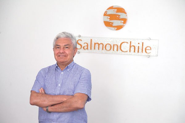 Industria salmonera ve un escenario "muy poco optimista" frente al freno de exportaciones a China por coronavirus