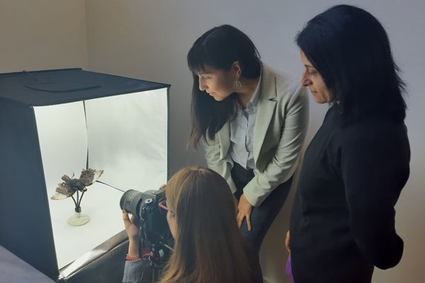 Museo de Historia Natural de Valparaíso crea versión tridimensional interactiva con piezas de la colección