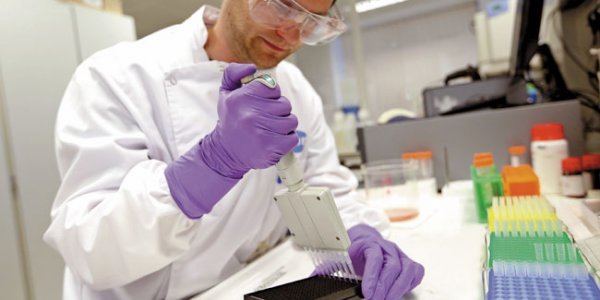 Ministerio de Ciencia busca levantar un catastro de profesionales con estudios de doctorado