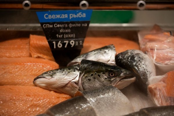 Salmoneras rusas viven auge histórico en medio de restricciones a importaciones chilenas