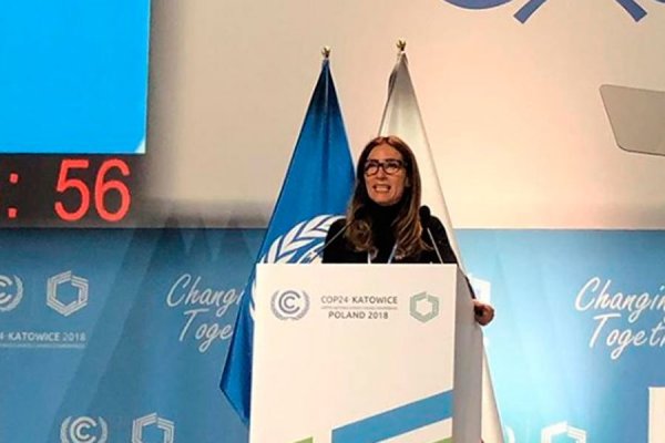 Ministra Schmidt confirma que presentará NDC a Naciones Unidas a fin de mes