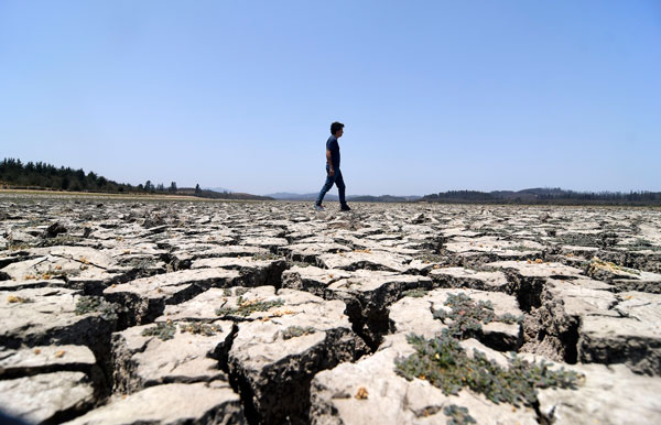 En COP26 parte negociación de recursos para mitigación y adaptación al cambio climático