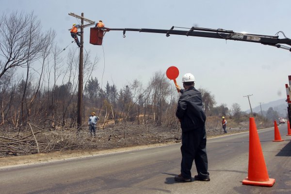 CGE acuerda reparar 9 mil hectáreas de terrenos a raíz de incendios ocurridos en 2017