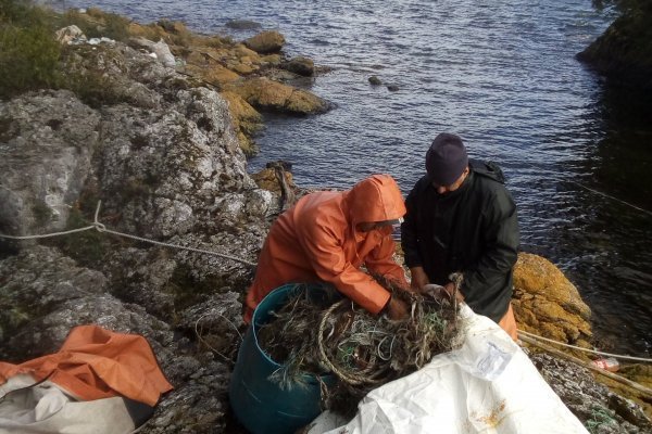 Dos emprendimientos chilenos son finalistas del desafío para la reducción de plásticos que impulsa el BID
