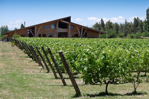 <p>Mayores ventas de vino a granel impulsa ingresos de Viñedos Emiliana al cierre de 2019</p>