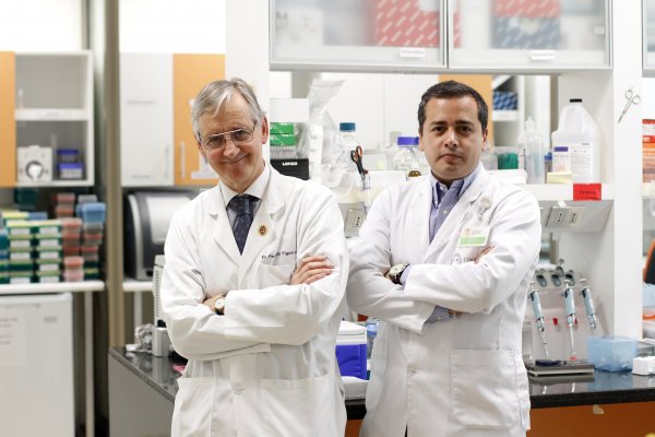 Investigadores chilenos buscan combatir el lupus grave renal con terapia de células madre