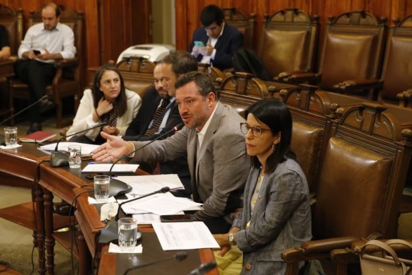 Ingreso mínimo garantizado avanza en el Congreso sin acuerdo entre parlamentarios por limitación a entrega del beneficio