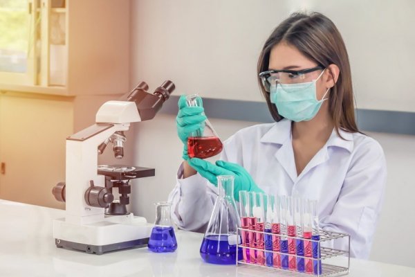 BCG: sólo dos de cada diez especialistas en data science son mujeres