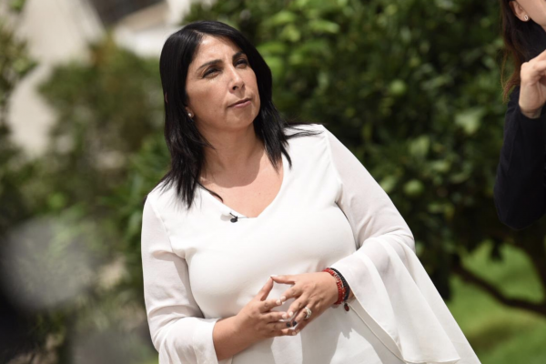 Ministra Rubilar ante estado de catástrofe: "Podemos tomar el control de las líneas de distribución para que todo el mundo tenga"