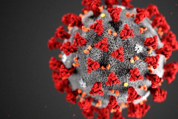 La investigación chilena que podría contener al Coronavirus